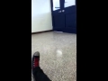 This Is what we do when emos skip school.