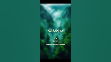 سورة الزمر ~ الآية 53 ~ بصوت القارئ/ عبدالبديع محمد غيلان