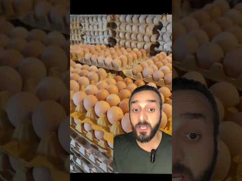 كرتونه البيض ب ١١٥ جنيه ملك المزاج تعالي اكسبلور تموين بيض اكلات اسعار
