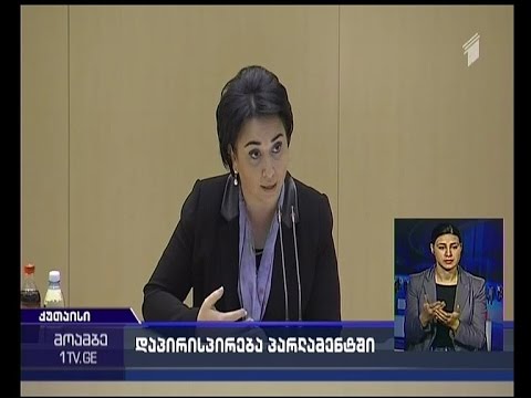 სიტყვიერი შელაპარაკება ბესელიასა და ებანოიძეს შორის პარლამენტის პლენარულ სხდომაზე