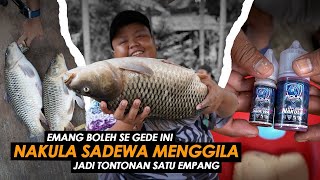 TIKET SULTAN !! TERLALU GACOR RACIKAN PENAKLUK BABON DAN IKAN RAME || Am#467