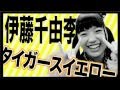 チームしゃちほこ   恋人はスナイパー ~ ピザです / Zepp FINAL!2014~ありがとうを伝えたくて~ 名古屋公演 第2部 2014 04 19