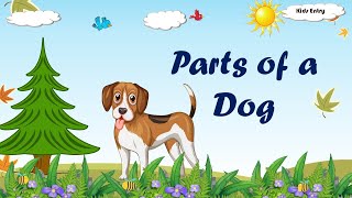 Parts of a Dog | Dog Body parts | Body parts of a dog | Parts of a Dog in English - Kids Entry
