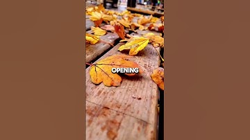 Creating Safe Spaces for Open Dialogue and Emotional Support After Election Outcomes