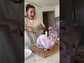The cat realizes it's a fake cake and takes revenge on the woman🍰🤣#shorts #cat #cake