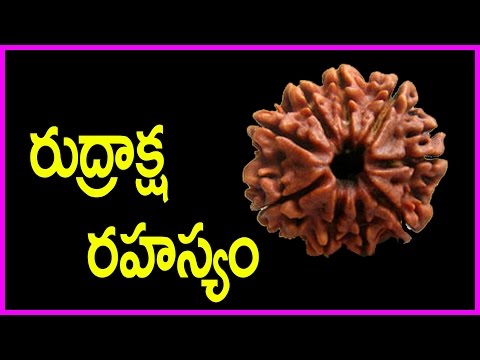 Unknown Facts About Rudraksha And Different Types of Rudraksha | Special Video