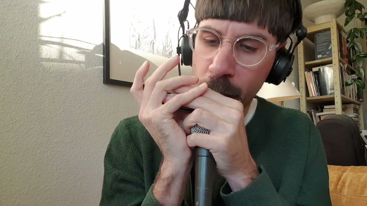 Suzuki Sirius S-48s chromatic harmonica - 