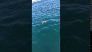 IMG 4881 1