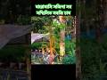 বস্তায় আদা ,শিম ,বরবটি সহ কয়েকধরনের সবজির সম্মিলিত চাষ| #agriculture #shorts