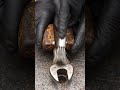 Vintage Wrench Restoration ASMR