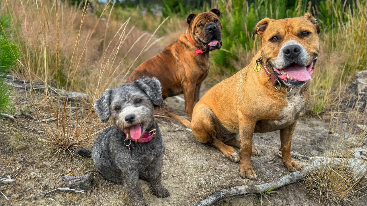 Fun in the sun ☀️ 