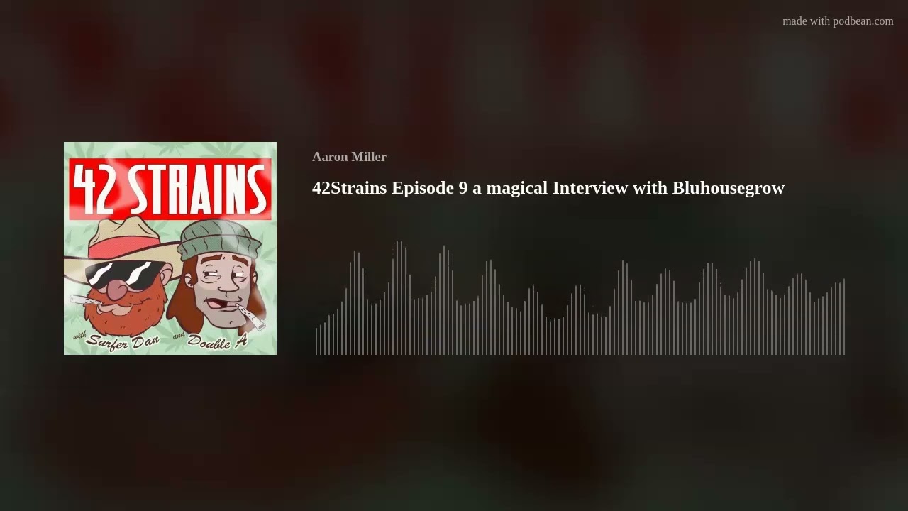 42Strains Episode 9 a magical Interview with Bluhousegrow