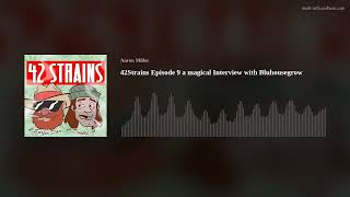 42Strains Episode 9 a magical Interview with Bluhousegrow