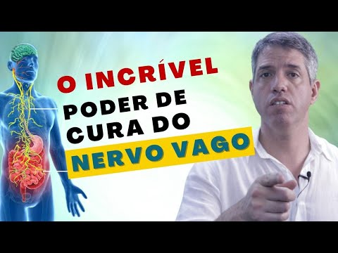 Vídeo: Terminais 