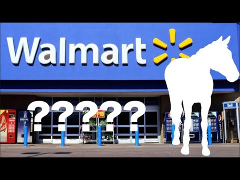 THE 5 THINGS I BUY FOR MY HORSES AT THE GROCERY STORE!