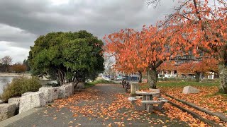 Fall in North Shore, Greater Vancouver, Canada, 2022 by All Random Picks 73 views 1 year ago 33 minutes