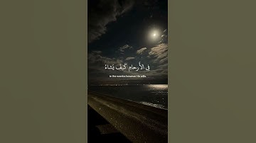﴿ إِنَّ الله لَا يَخفى عَليهِ شَيء ﴾ سوره آل عمران، عبدالرحمن مسعد #قرآن #ارح_قلبك #قران_كريم