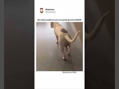 30 de julho de 2026