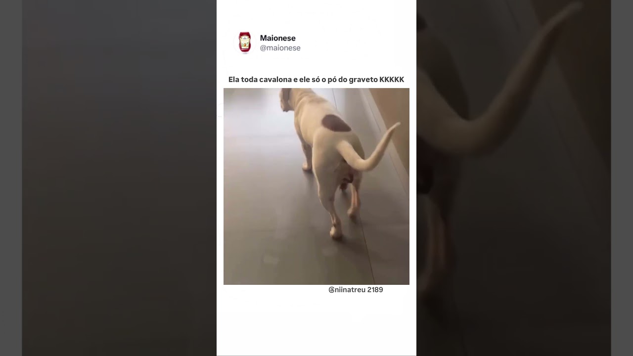 30 de julho de 2026