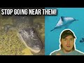 Fish Biologist Reacts To Terrifying Fish Encounters
