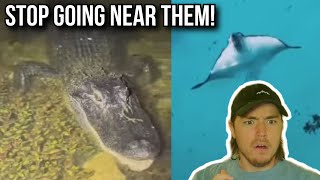 Fish Biologist Reacts To Terrifying Fish Encounters