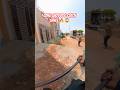 Long Shot Dog Catch 🔥😱 #shorts #ytviral #ytshorts #shortsfeed #youtubeshorts