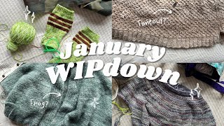 January WIPdown - knits to finish or frog, 2024 thoughts, and a mystery pack gamble .