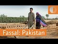 Fassal pakistan