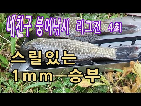 1mm의  스릴있는 승부  네친구 붕어낚시 리그전 제 4편