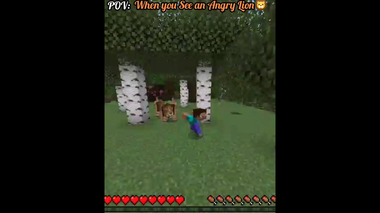 POV : When you See an Angry Lion 