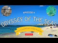 Butterflies, Donkeys, Snorkeling, &amp; More in Aruba - Odyssey of the Seas Day 5 Vlog