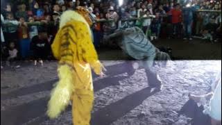 Rampak macan suko siswo nglerep deyangan