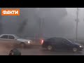 Наслідки негоди на Прикарпатті: потоп, повалені дерева та розтрощені авто