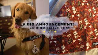 A Big Announcement! | Team and handler update | Guess where we’re going!🪄✨🎉 by helperpupatlas 274 views 1 year ago 5 minutes, 48 seconds