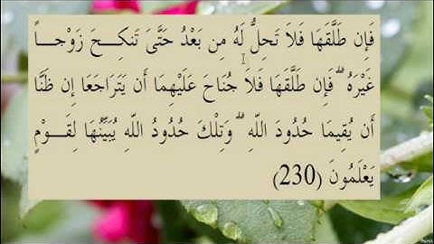 القران الكريم سورة البقرة الاية  230