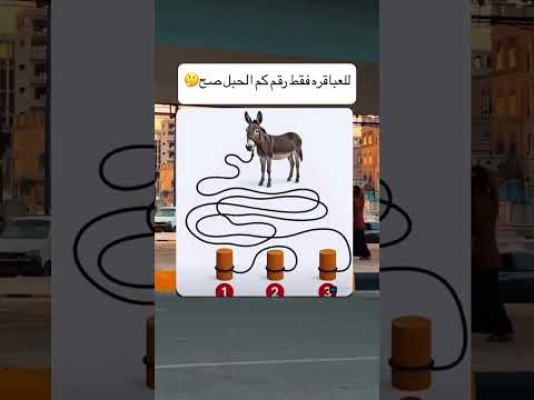 رقم كم الحبل الصحيح ارقام كام حبل صحيح لغز الغاز فوازير الجزائر المغرب مصر سوريا