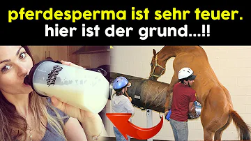 Welches Tier kann Sperma 3 Jahre?