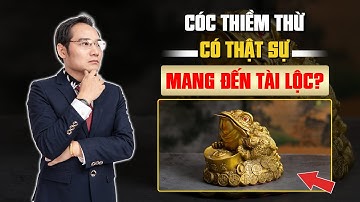 Cóc Thiềm Thừ và ý nghĩa thật sự khiến nhiều người Dè Chừng