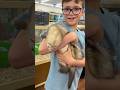 Ferret playtime #ferret #ferrets #pets #cutepets #cute #florida #funny #petslover #animallover #fun