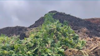 Officials warn landfills could reach capacity by 2038