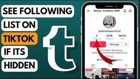 How to See Following List of TikTok Account if it