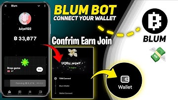 Blum Airdrop Wallet Connect Process || Blum Coin Mining Withdrawal