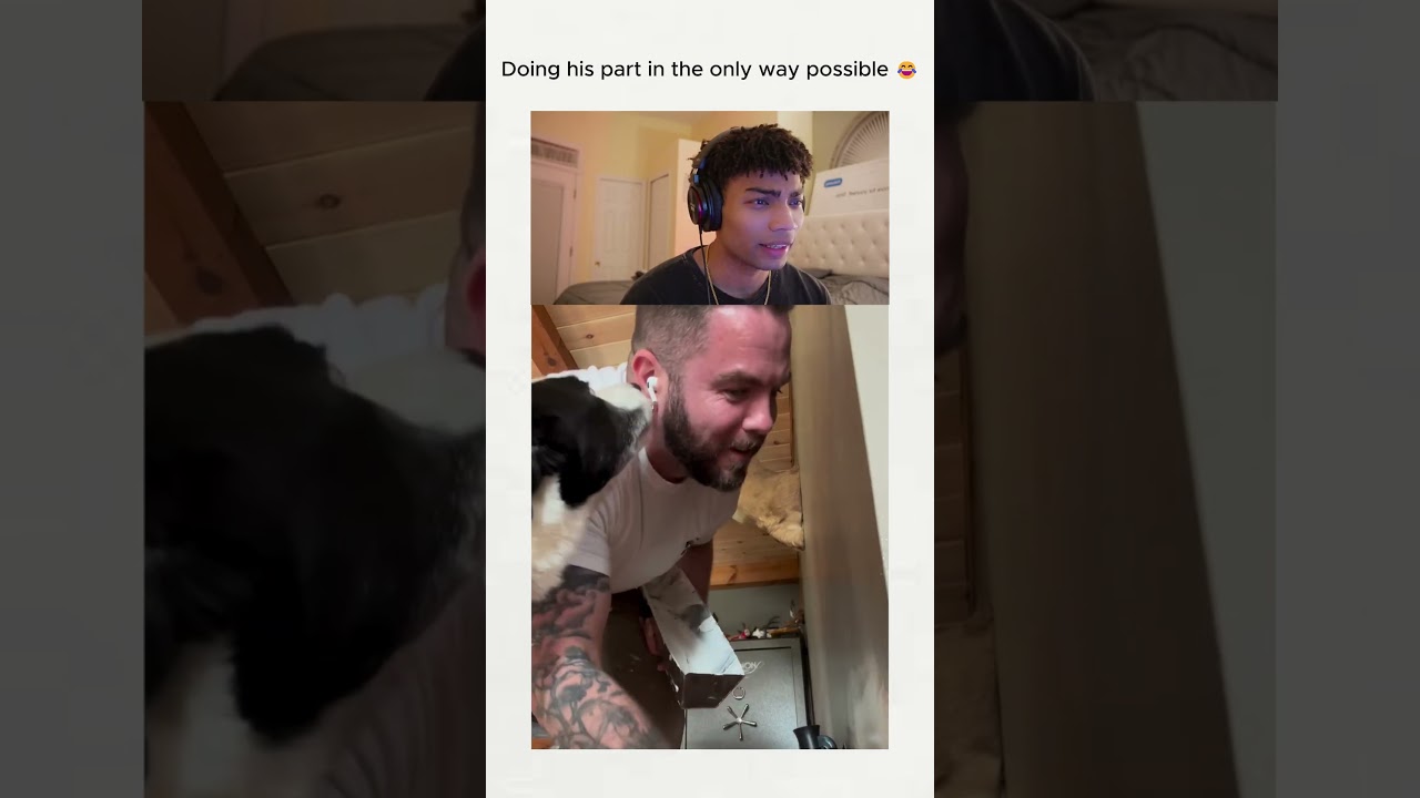 Выполняет свою работу 😂❤️