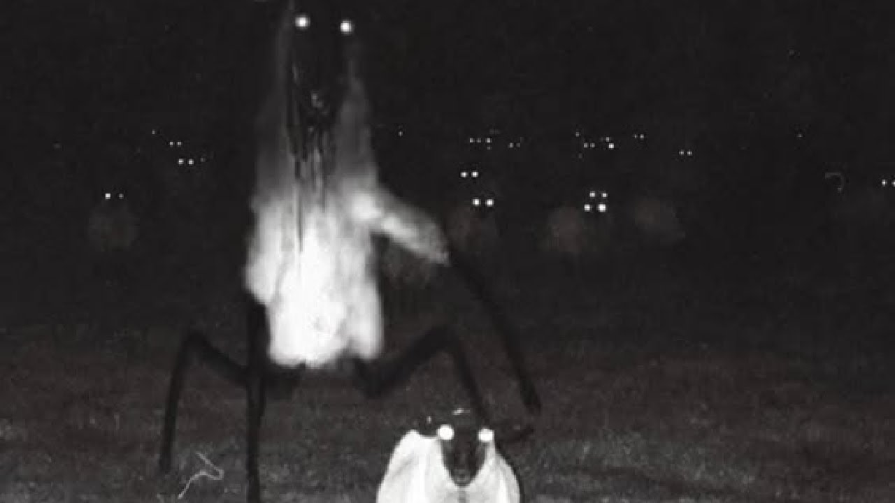 Creepypastas para pensar AUUUU 🗣️🗣️❗❗