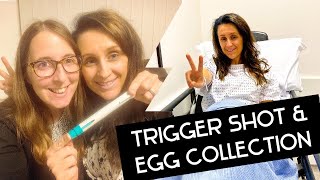 Trigger Shot, Egg Collection & Embryo Updates (IVF Cycle 2) | Same Sex Couple IVF Journey