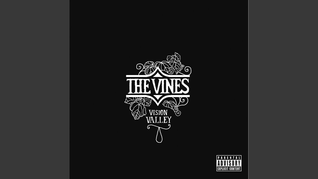 Vision Valley - YouTube