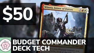 Winota, Joiner of Forces | EDH Budget Deck Tech $50 | Human Tribal | Tokens | MTG | Commander