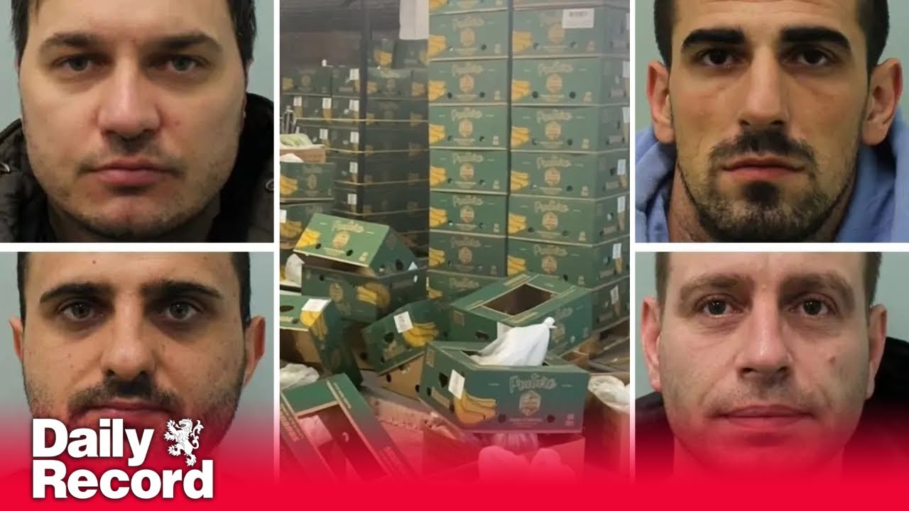 Drug smugglers jailed after £200million of cocaine found in banana boxes
