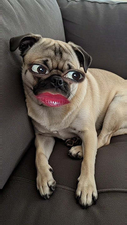 Lera Kudryavtseva porno video Moynali kiyimlardan qora tanli ayol porno