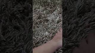 Kung Fu Panda & Secrets Of The Furious Five Dvd Overview